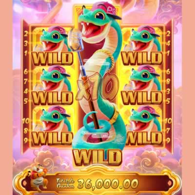 bitbet24